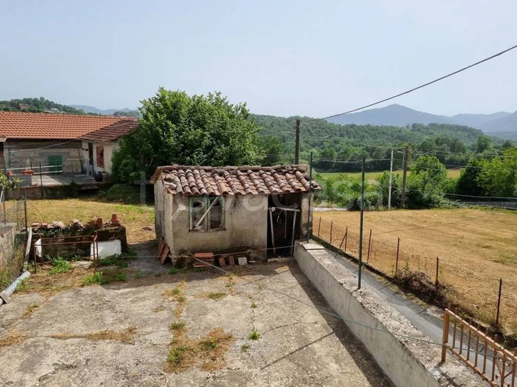 immagine annuncio 4 di 14