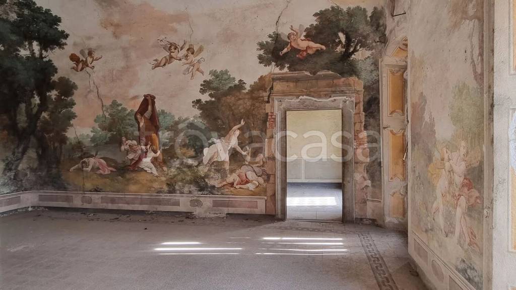 immagine annuncio 1 di 14