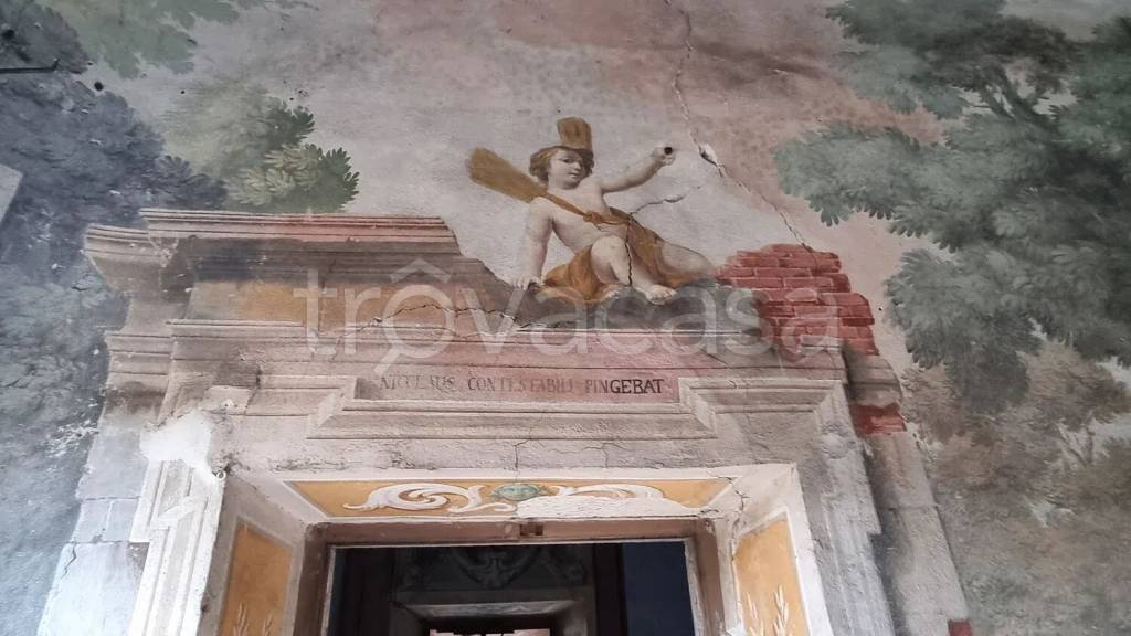 immagine annuncio 3 di 14