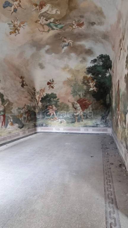 immagine annuncio 4 di 14