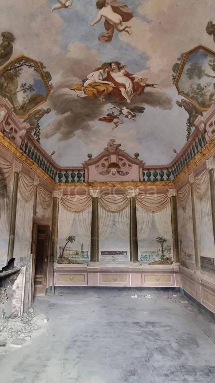 immagine annuncio 5 di 14