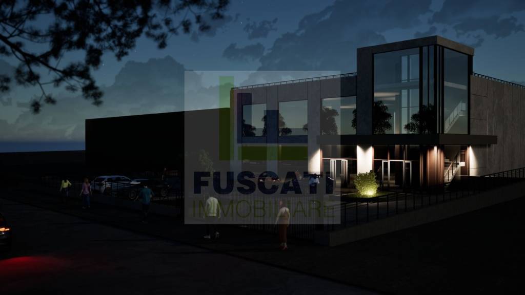 immagine annuncio 4 di 8