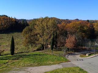 Appartamento in vendita a montalcino via 20 settembre