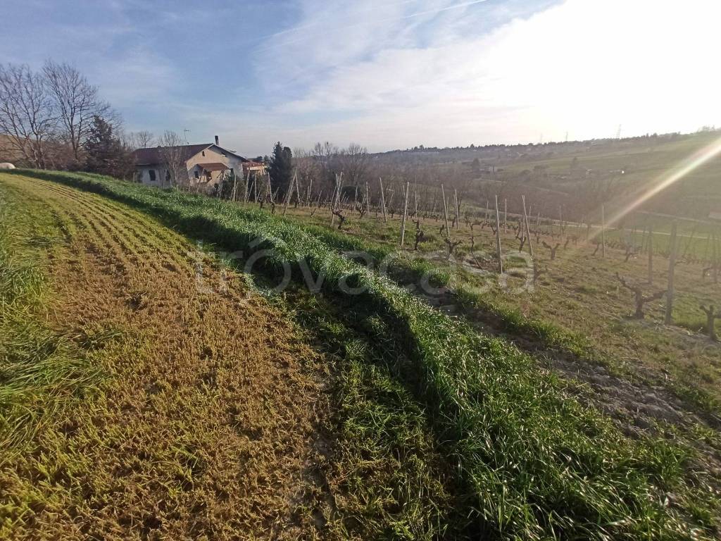 immagine annuncio 2 di 8