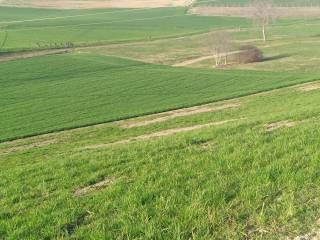 Terreno agricolo in vendita a chieri 