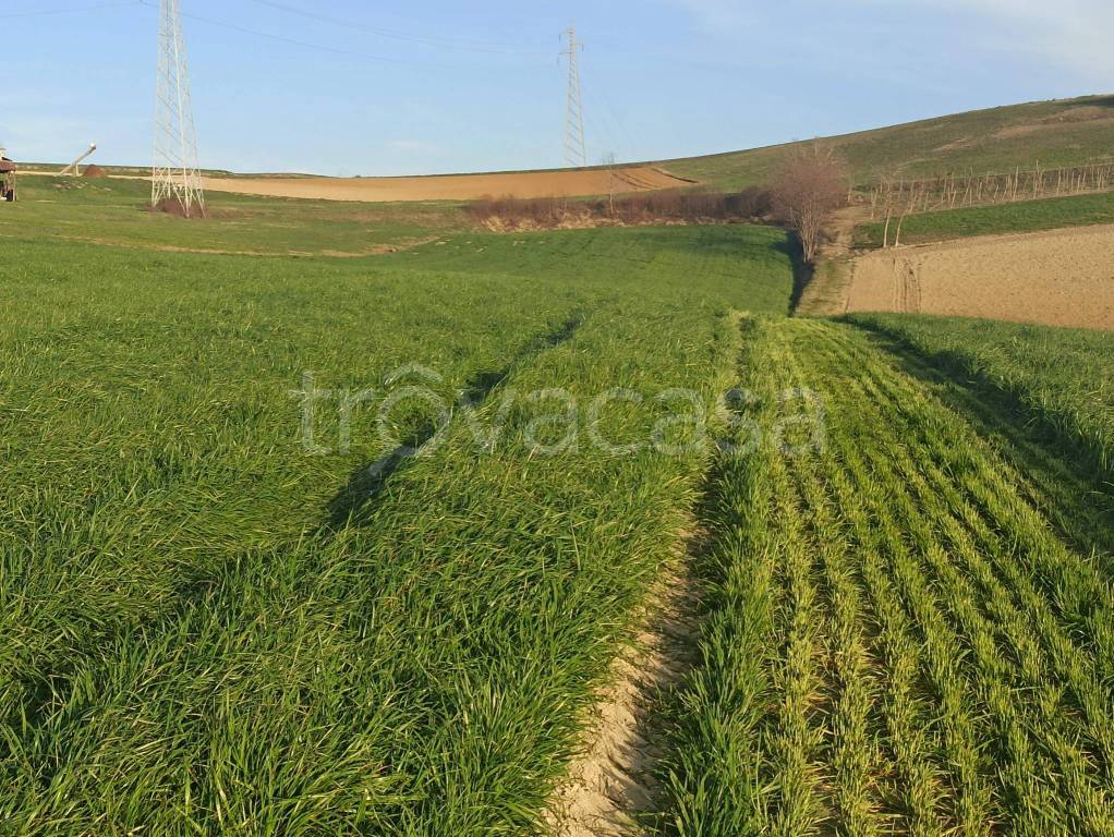 immagine annuncio 3 di 8