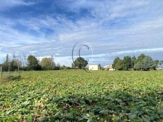 Terreno residenziale in vendita a ravenna 