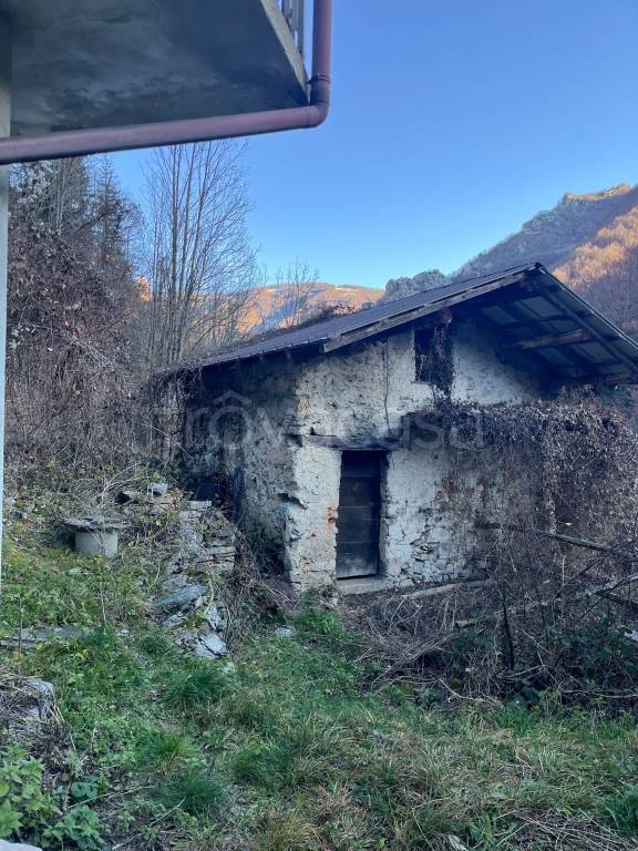 immagine annuncio 3 di 9