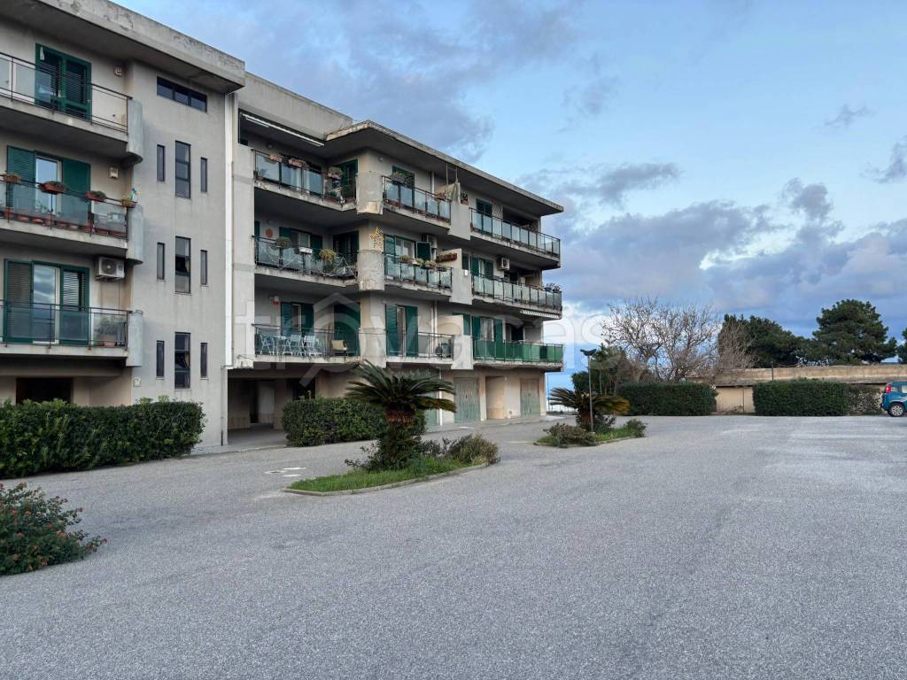 immagine annuncio 1 di 14