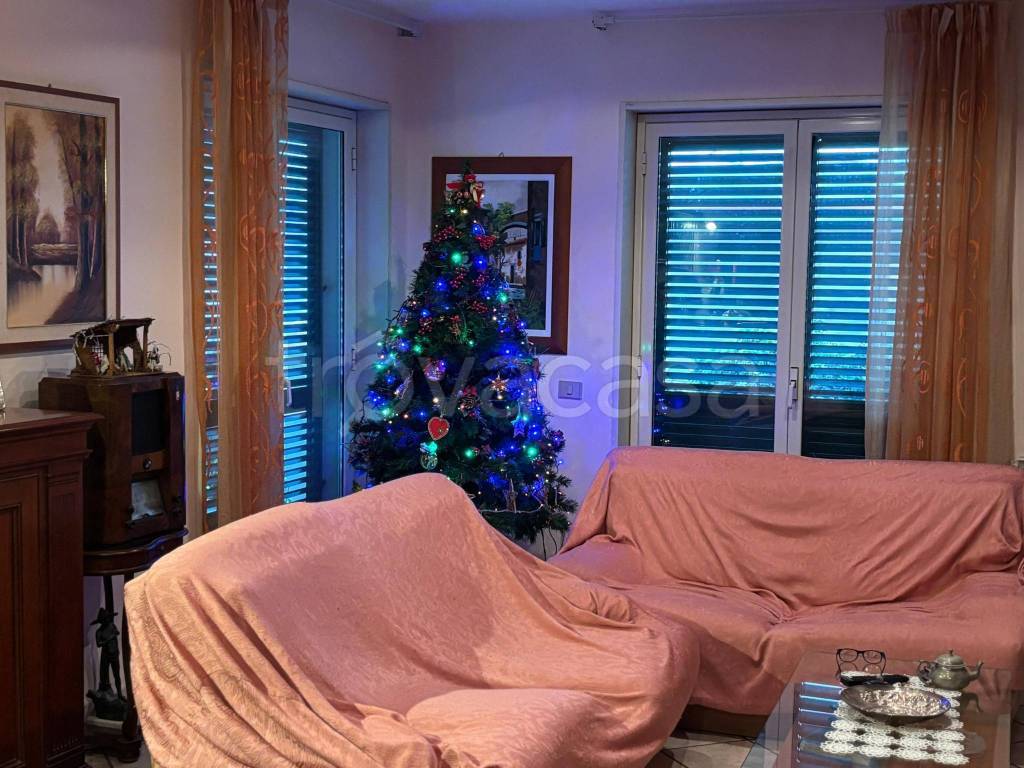 immagine annuncio 6 di 14