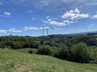 Terreno residenziale in vendita a bertinoro 