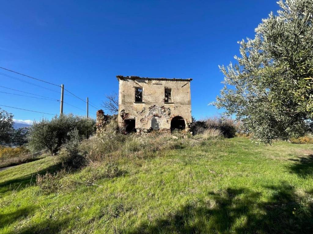 immagine annuncio 3 di 11