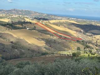 Terreno agricolo in vendita ad atri strada provinciale del cagno