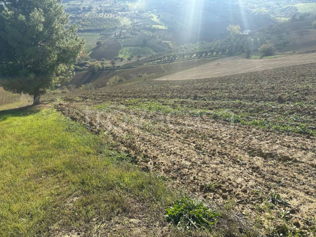 immagine annuncio 7 di 12