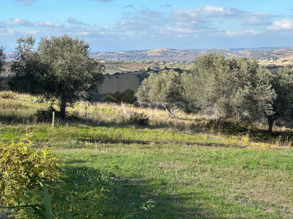 immagine annuncio 8 di 12