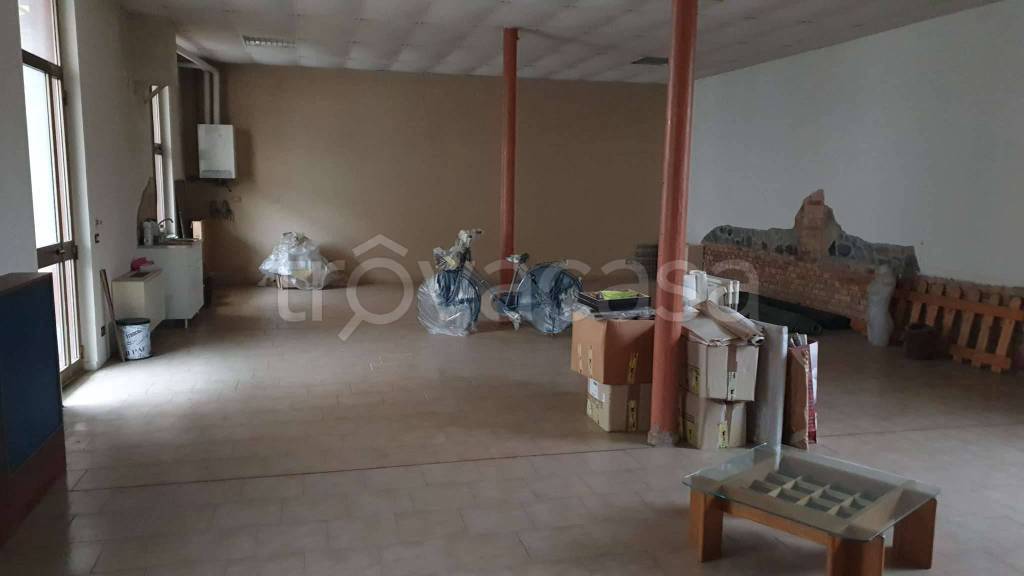 immagine annuncio 4 di 14