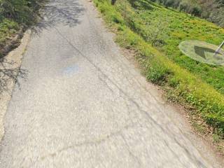 Terreno agricolo all'asta ad altomonte contrada farneto