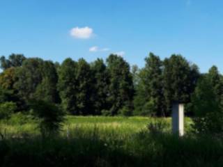 Terreno agricolo all'asta a casalbuttano ed uniti via guglielmo marconi