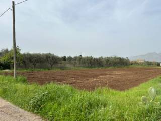 Terreno agricolo all'asta a fondi via del perito