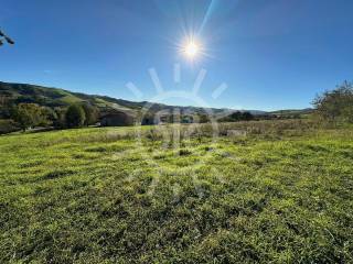 Terreno agricolo in vendita a budrio papa giovanni xxiii 3