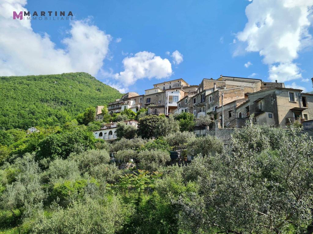 immagine annuncio 7 di 12