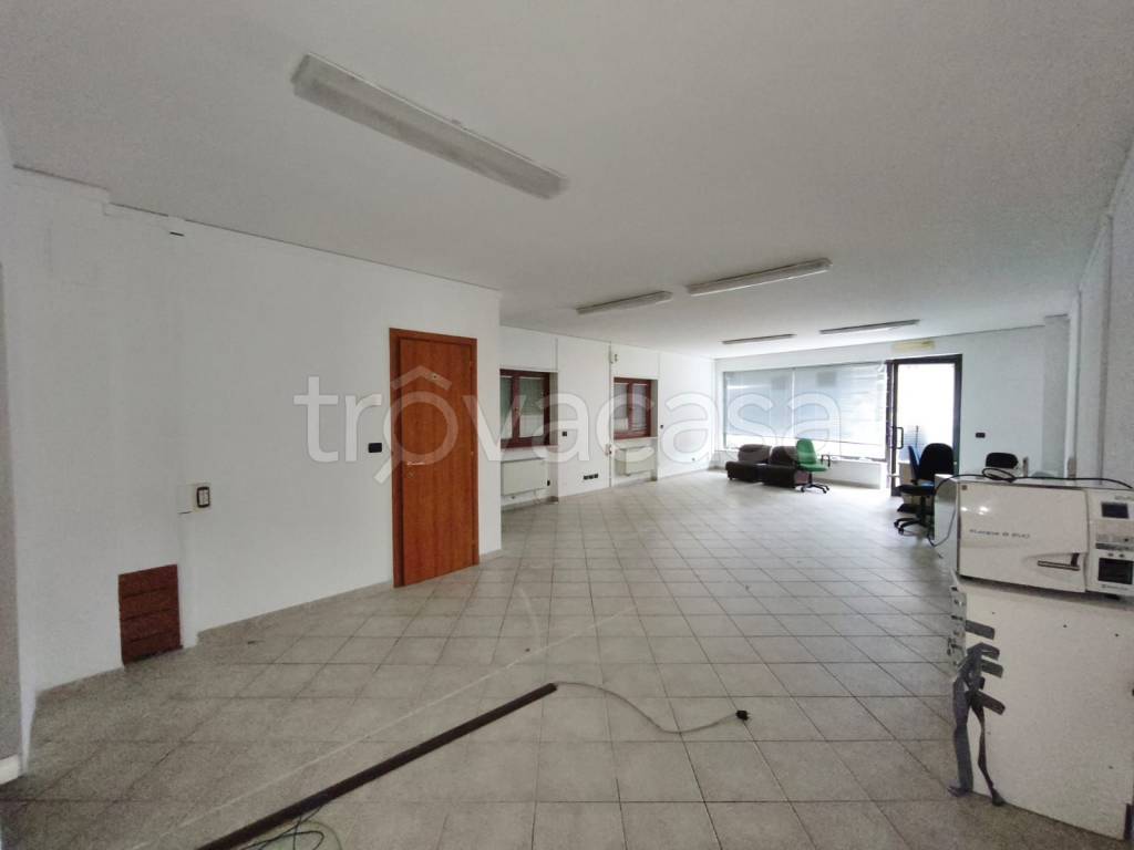 immagine annuncio 3 di 9