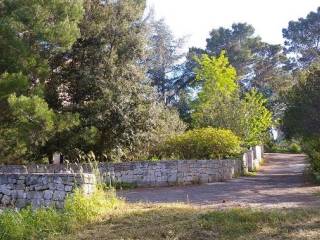 Villa bifamiliare in in vendita da privato a fasano viale delle querce