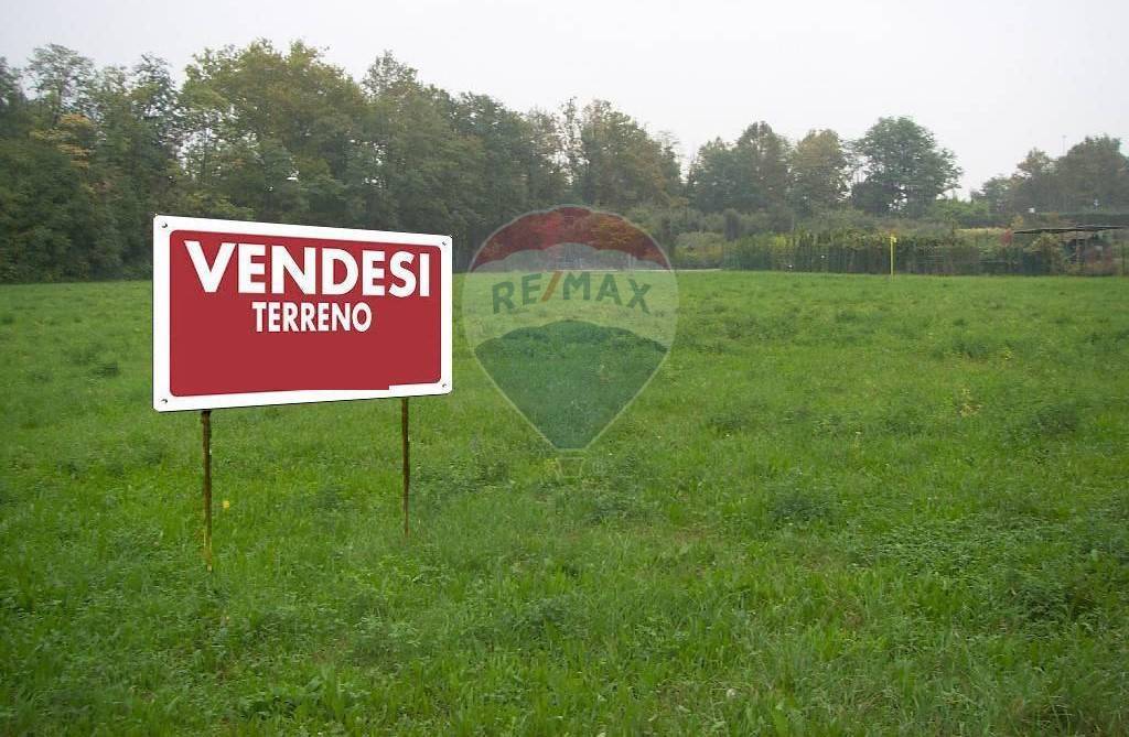 immagine annuncio 3 di 8