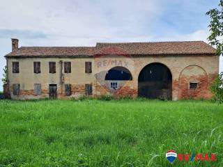 Azienda agricola in vendita a conselve via terrassa, 139