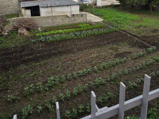 Terreno agricolo in affitto a quarto via marmolito, 1