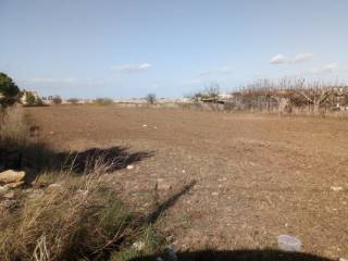 Terreno agricolo in vendita a mesagne via aniello falcone