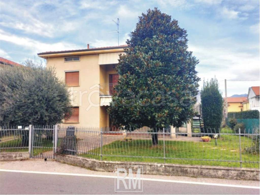 immagine annuncio 11 di 14