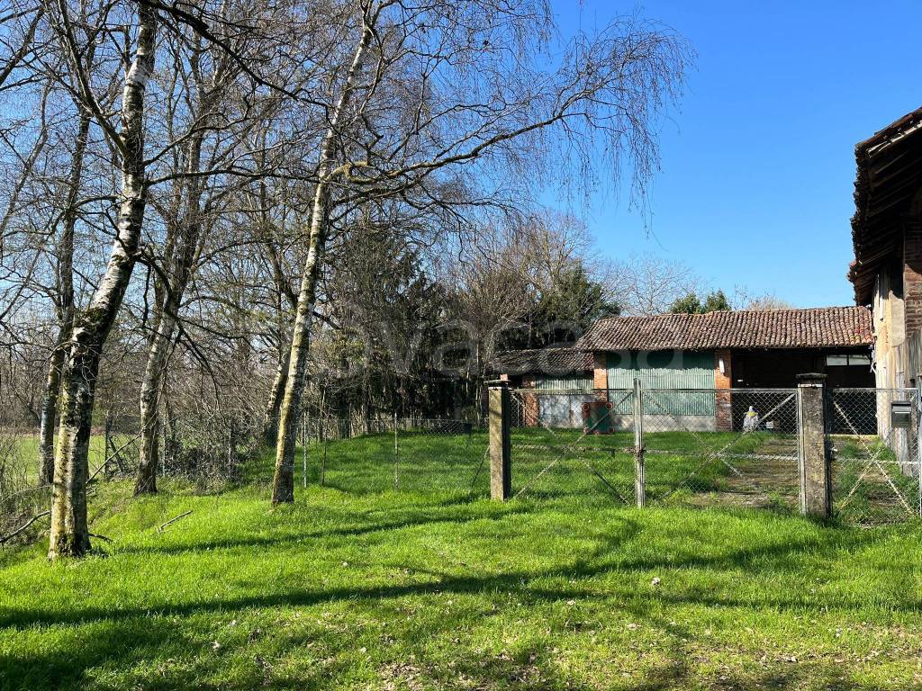 immagine annuncio 3 di 12