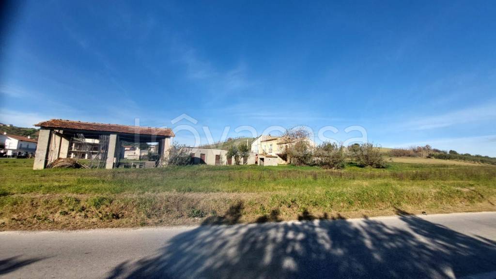immagine annuncio 7 di 9