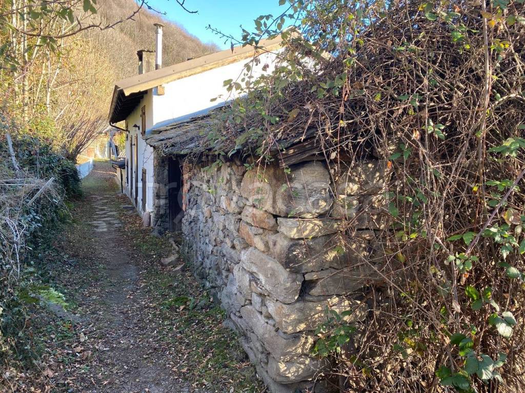 immagine annuncio 5 di 14