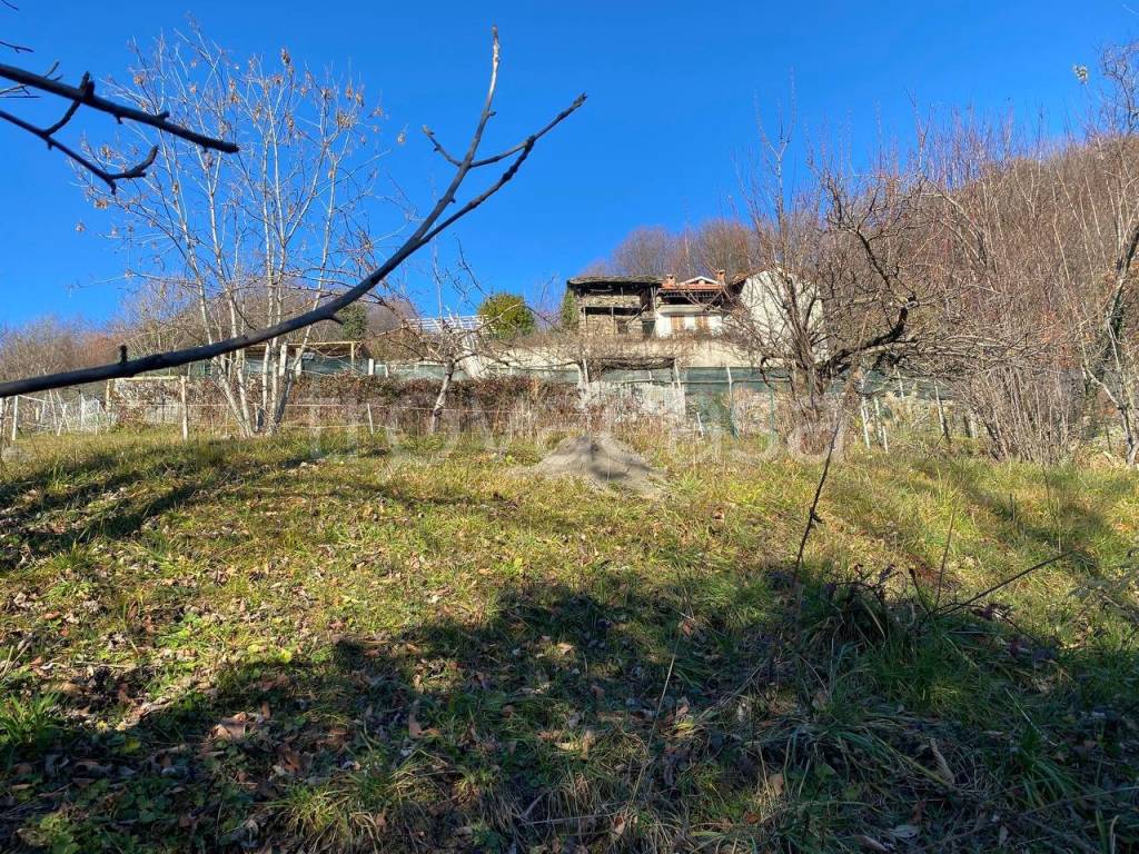 immagine annuncio 8 di 14