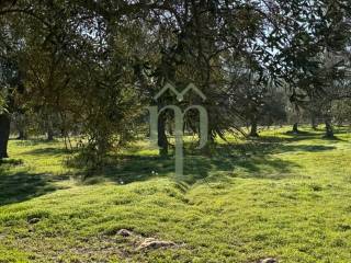 Terreno residenziale in vendita a carovigno 