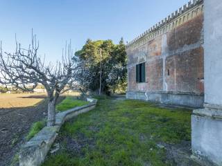 Casa indipendente in vendita ad arnesano via delle paludi