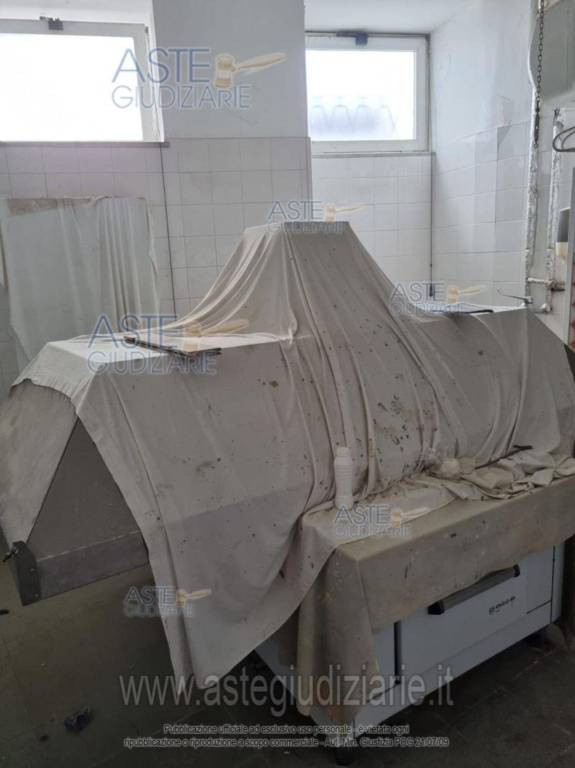 immagine annuncio 7 di 11