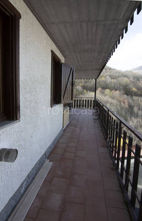immagine annuncio 7 di 14