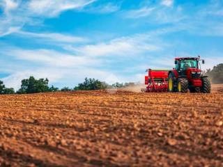 Terreno agricolo in vendita a canossa strada provinciale, 1