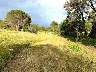 Terreno agricolo in vendita a tempio pausania via olbia