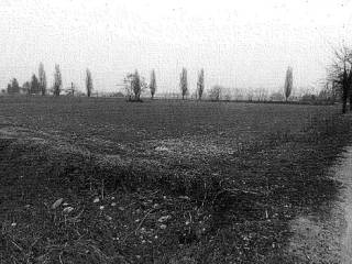 Terreno agricolo all'asta a urgnano urgnano