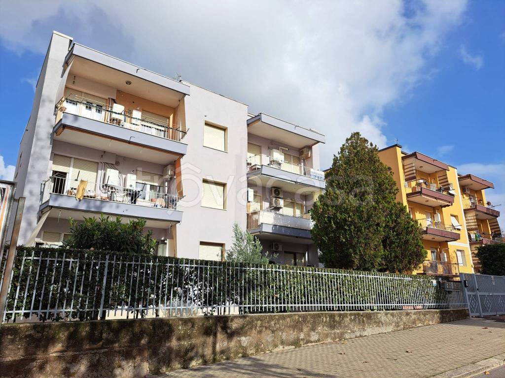 immagine annuncio 11 di 15