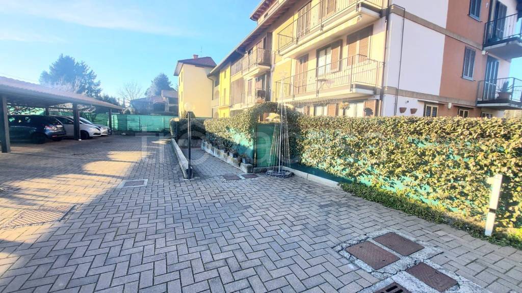 immagine annuncio 4 di 15