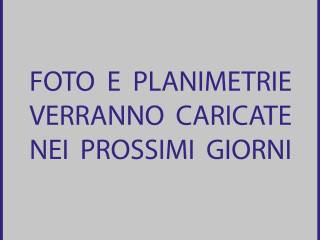 Hobby/tempo libero in in vendita da privato a roma via castelfidardo, 63