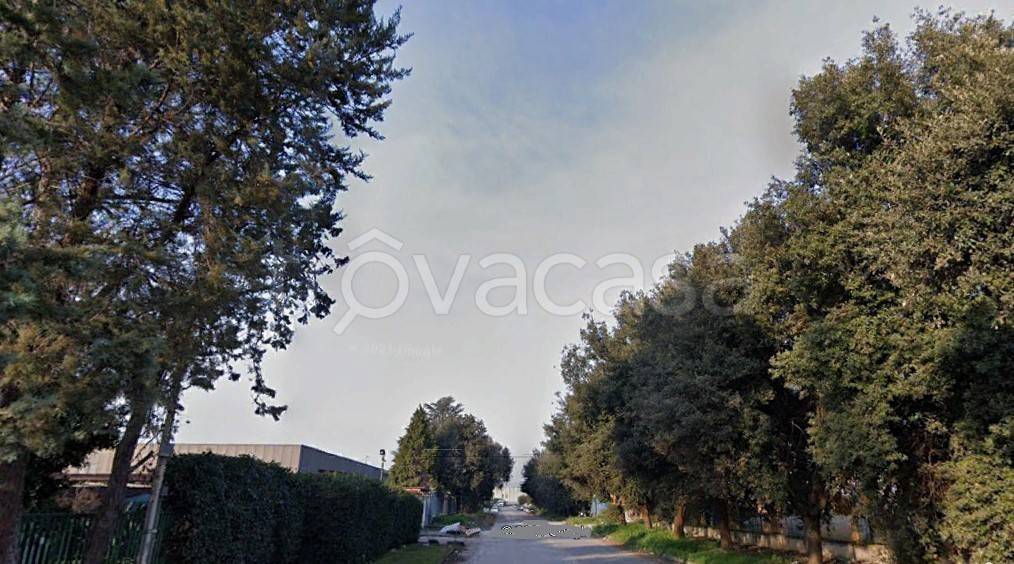 immagine annuncio 3 di 7