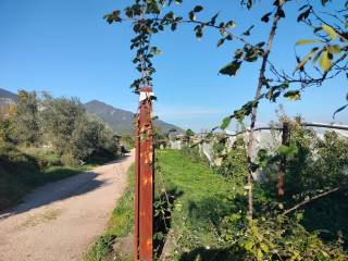 Terreno agricolo in vendita a presenzano vico luigi cadorna, 34b