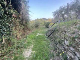 Terreno agricolo all'asta a lavagna via madonna della neve, snc