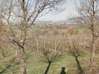 Terreno agricolo in vendita a bevagna via teverone, 5